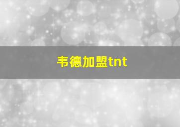 韦德加盟tnt