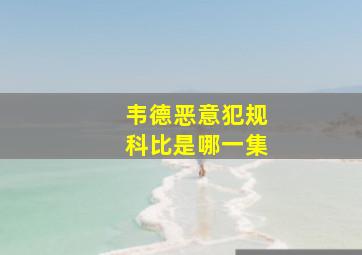 韦德恶意犯规科比是哪一集