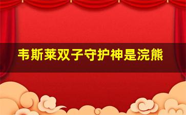 韦斯莱双子守护神是浣熊