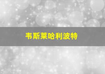 韦斯莱哈利波特