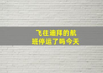 飞往迪拜的航班停运了吗今天