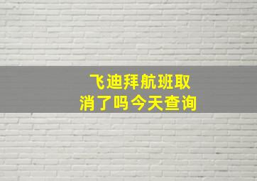 飞迪拜航班取消了吗今天查询