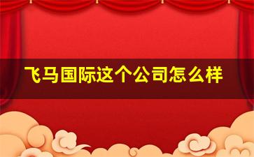 飞马国际这个公司怎么样