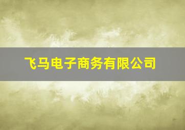 飞马电子商务有限公司