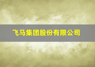 飞马集团股份有限公司