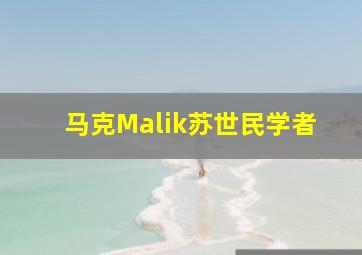 马克Malik苏世民学者