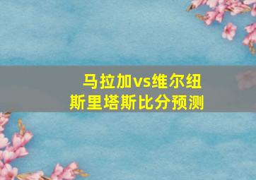 马拉加vs维尔纽斯里塔斯比分预测