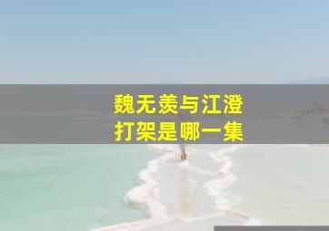 魏无羡与江澄打架是哪一集