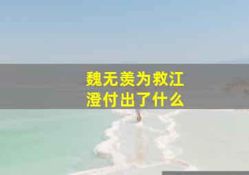 魏无羡为救江澄付出了什么