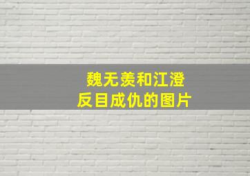 魏无羡和江澄反目成仇的图片