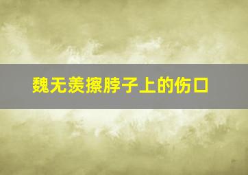 魏无羡擦脖子上的伤口