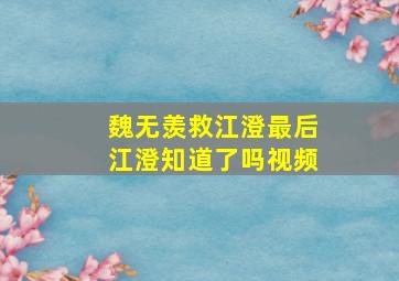 魏无羡救江澄最后江澄知道了吗视频