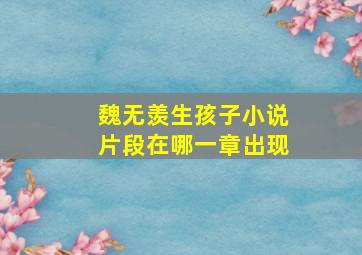 魏无羡生孩子小说片段在哪一章出现