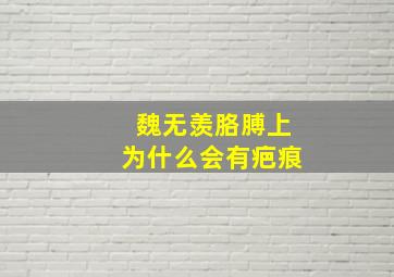 魏无羡胳膊上为什么会有疤痕