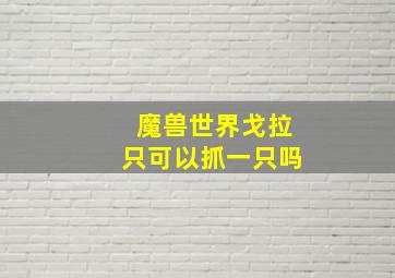 魔兽世界戈拉只可以抓一只吗