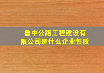 鲁中公路工程建设有限公司是什么企业性质