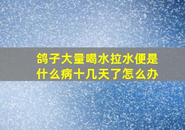 鸽子大量喝水拉水便是什么病十几天了怎么办