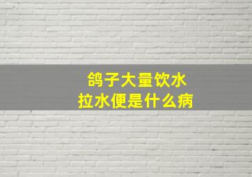 鸽子大量饮水拉水便是什么病