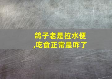 鸽子老是拉水便,吃食正常是咋了