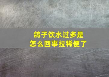 鸽子饮水过多是怎么回事拉稀便了