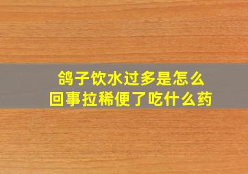 鸽子饮水过多是怎么回事拉稀便了吃什么药