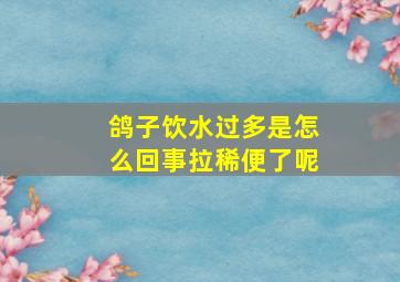 鸽子饮水过多是怎么回事拉稀便了呢