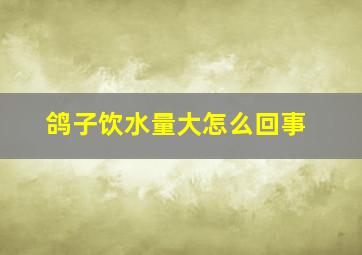 鸽子饮水量大怎么回事