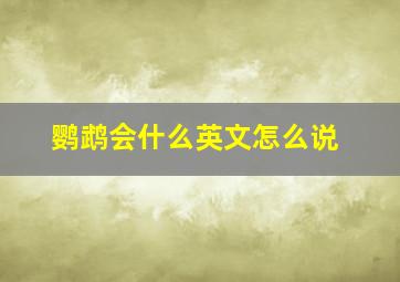 鹦鹉会什么英文怎么说