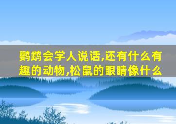 鹦鹉会学人说话,还有什么有趣的动物,松鼠的眼睛像什么