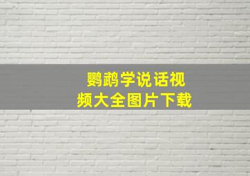 鹦鹉学说话视频大全图片下载