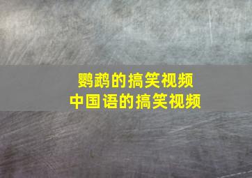 鹦鹉的搞笑视频中国语的搞笑视频