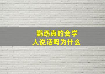 鹦鹉真的会学人说话吗为什么