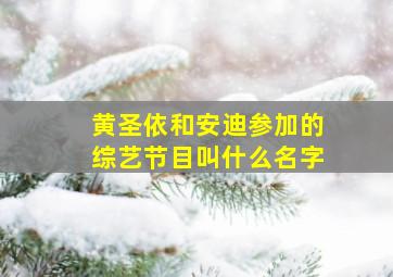 黄圣依和安迪参加的综艺节目叫什么名字