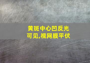 黄斑中心凹反光可见,视网膜平伏