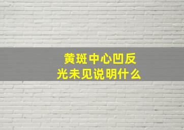 黄斑中心凹反光未见说明什么