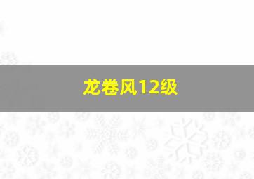 龙卷风12级