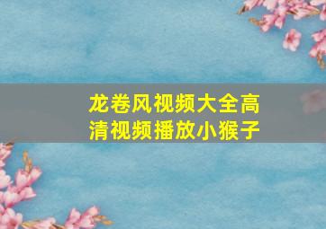 龙卷风视频大全高清视频播放小猴子