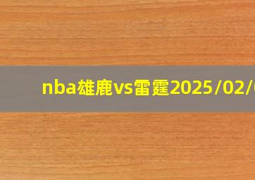 nba雄鹿vs雷霆2025/02/04