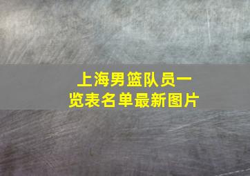 上海男篮队员一览表名单最新图片