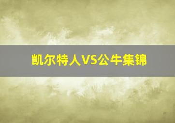 凯尔特人VS公牛集锦