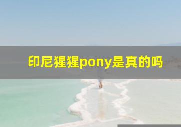 印尼猩猩pony是真的吗