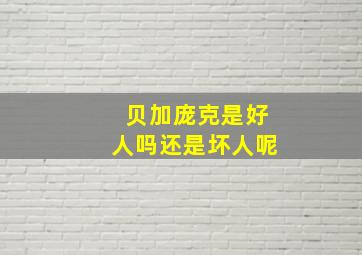 贝加庞克是好人吗还是坏人呢