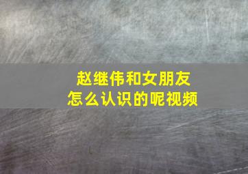 赵继伟和女朋友怎么认识的呢视频