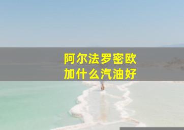 阿尔法罗密欧加什么汽油好